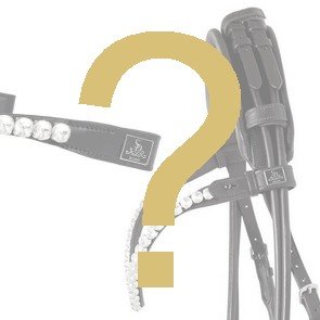 Which browband will fit my rolled bridle?