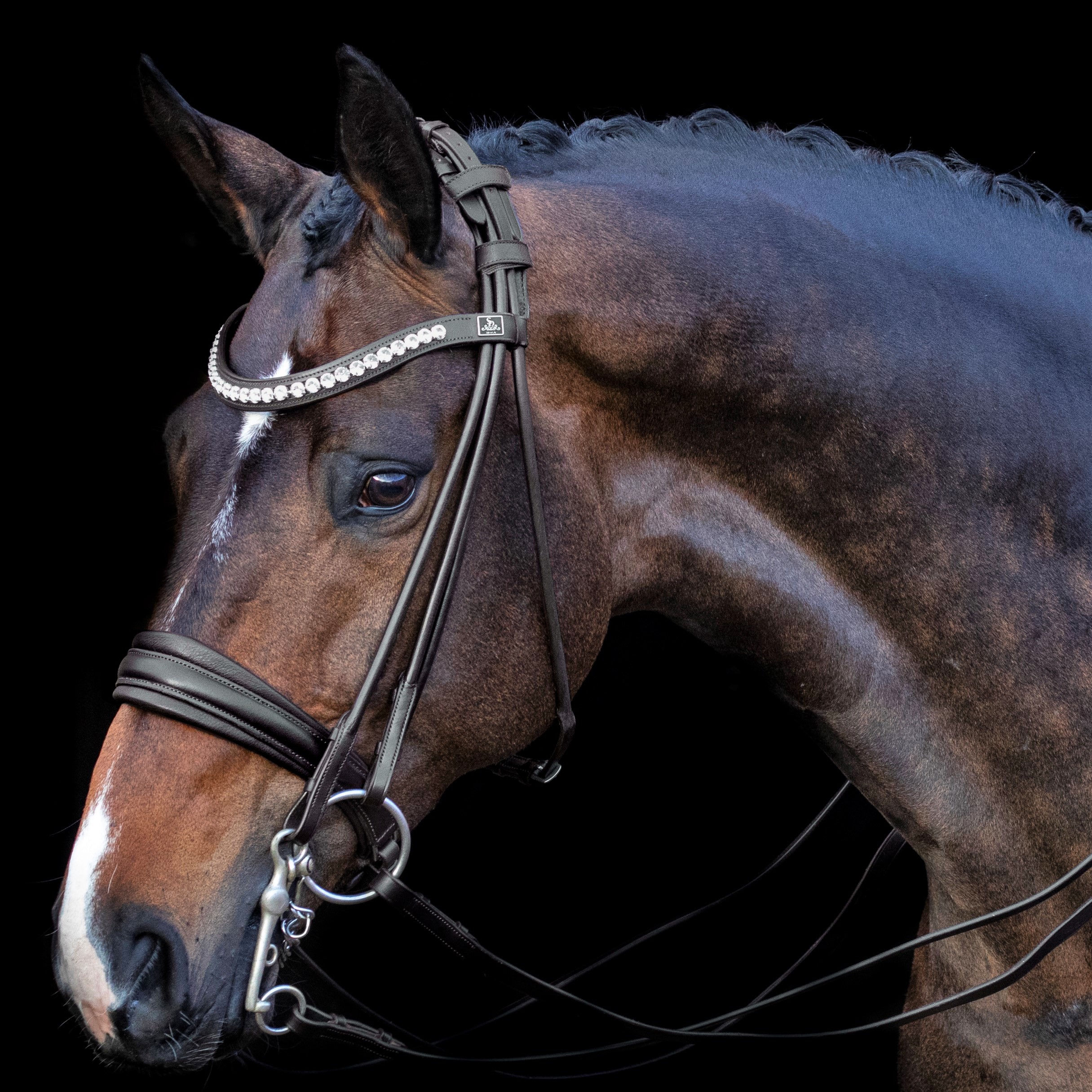 SD Belissimo rolled double bridle in black/white. R836