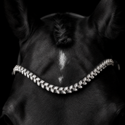 SD� Beauty Off Browband. Black