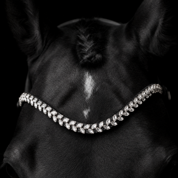 SD� Beauty Off Browband. Black