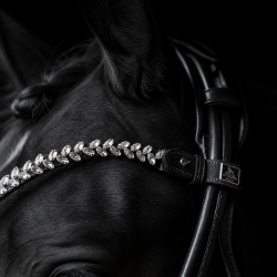 SD� Beauty Off Browband. Black
