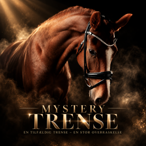 Auktion 2 LUKSUS TILF�LDIG TRENSE - SORT L�DER
