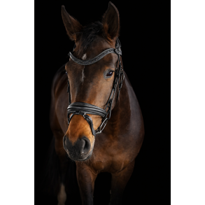 SD� Action Bridle Black/Black.