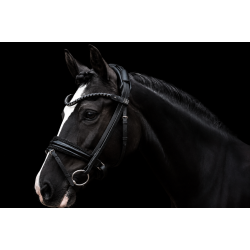 SD� Diamond Bridle Black/Black