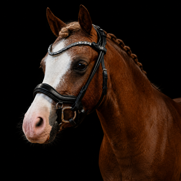 SD� Loreen Anatomic Rolled Bridle.