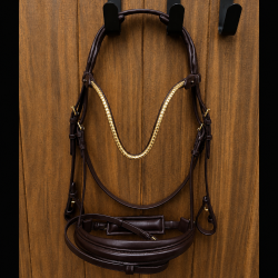 SD� Veneziano bridle. Brun with Gold buckles.
