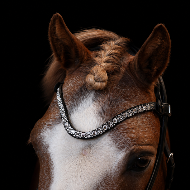 SD� Loreen Anatomic Rolled Bridle.