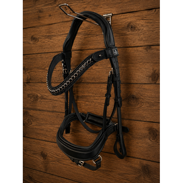Auktion 6 For Pleasure Bridle