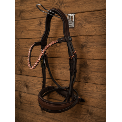 Auktion 9 Uthopia Bridle