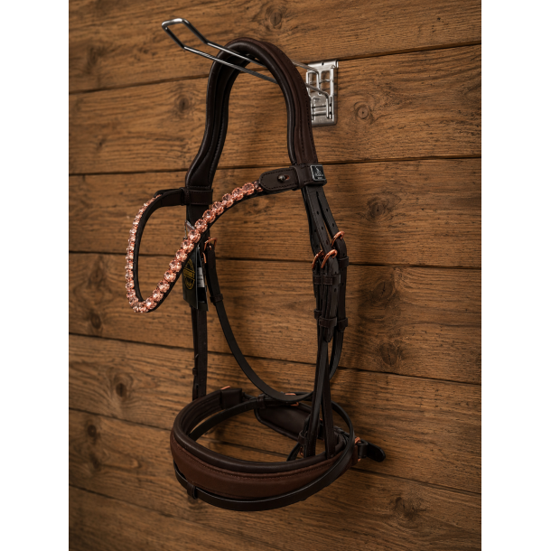 Auktion 9 Uthopia Bridle