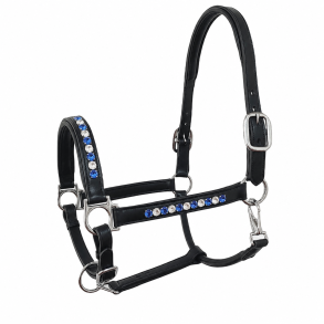 SD� Bespoke Leather Halter 2 optional colours of 10mm crystals.