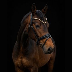 SD� Veneziano bridle. Black.