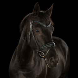 SD� Action Bridle Black/Navy