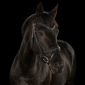 SD� Action Bridle Black/Navy