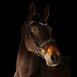 SD� Action Bridle Black/Rosa. 