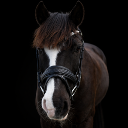 SD� Luxury Comfort Noseband
