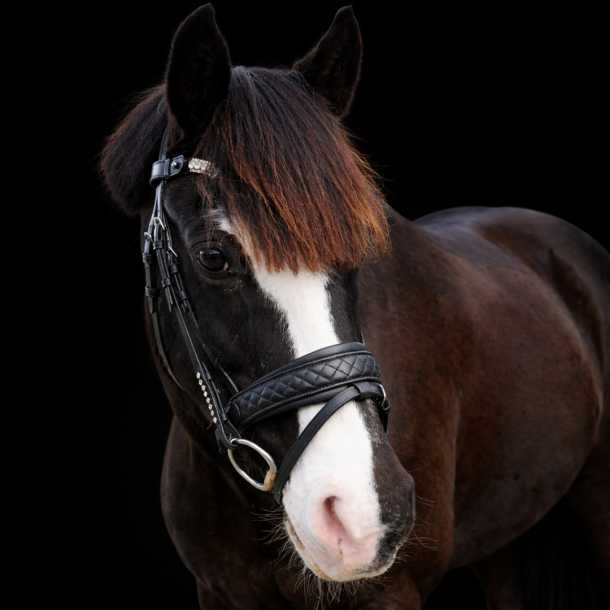SD� Luxury Comfort Noseband