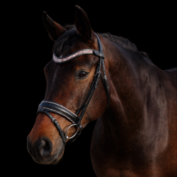 SD� Action Bridle Black/Rosegold.