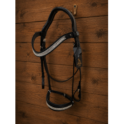 Auktion 7 Sandro Bridle