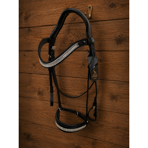 Auktion 7 Sandro Bridle
