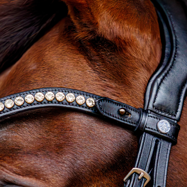 SD Marzog Browband. Black. 