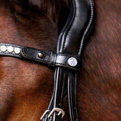 SD Marzog Browband. Black. 