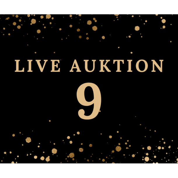 Auktion 9