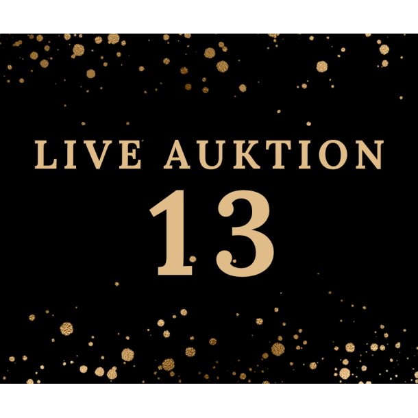 Auktion 13