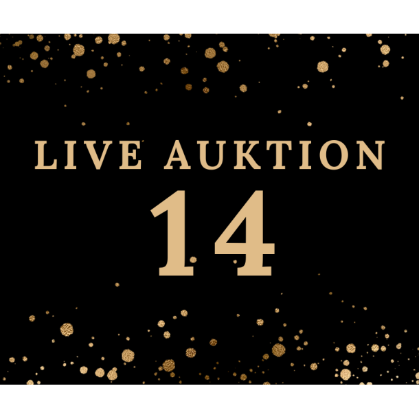 Auktion 14