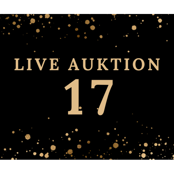 Auktion 17