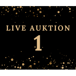 Auktion 1 Action Bridle Navy