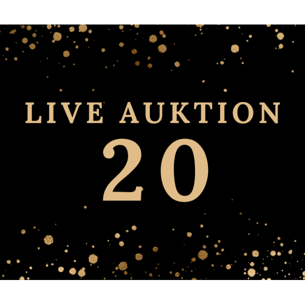 Auktion 20