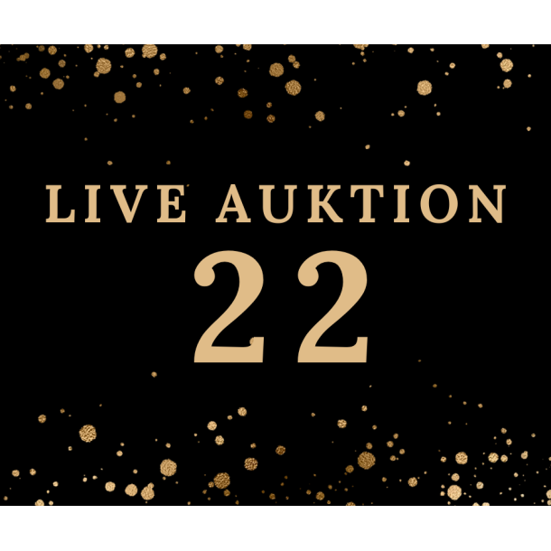 Auktion 22