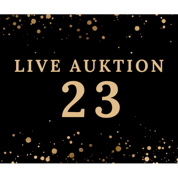 Auktion 23