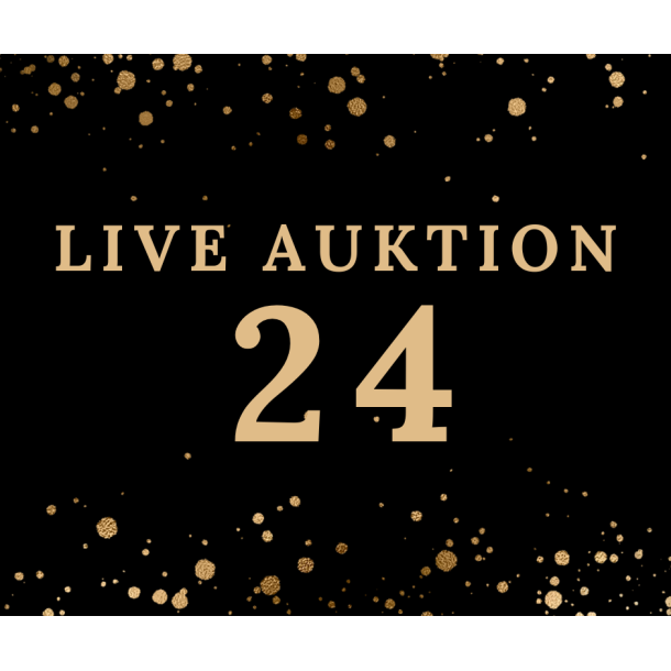 Auktion 24