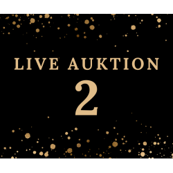 Auktion 2 Action Bridle BLACK/BLACK