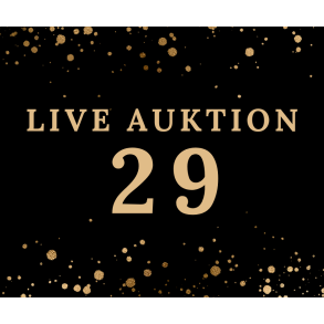 Auktion 29