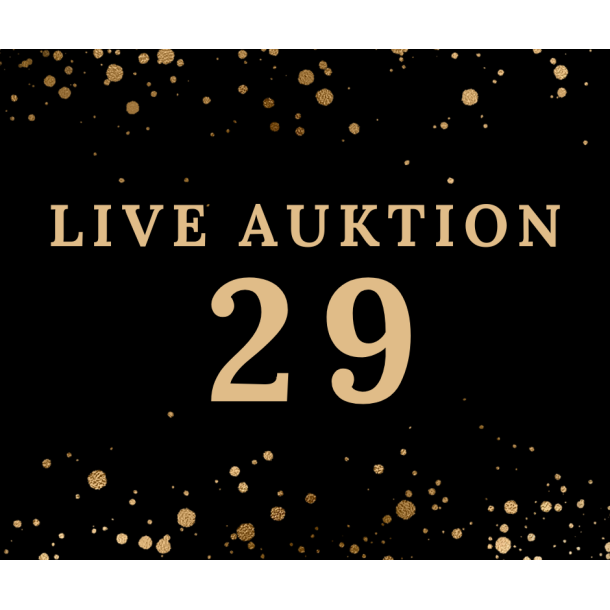 Auktion 29