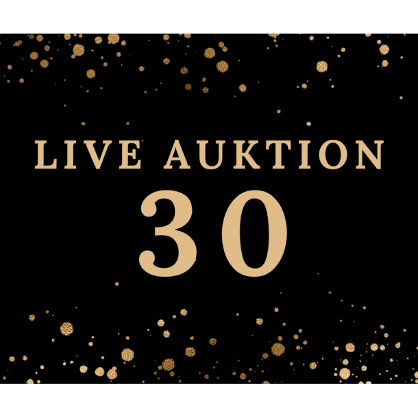 Auktion 30