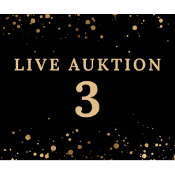 Auktion 3 Brown Leather Full