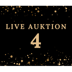 Auktion 4 BROWN Leather COB