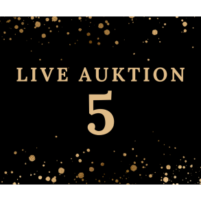 Auktion 5