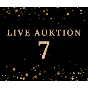 Auktion 7