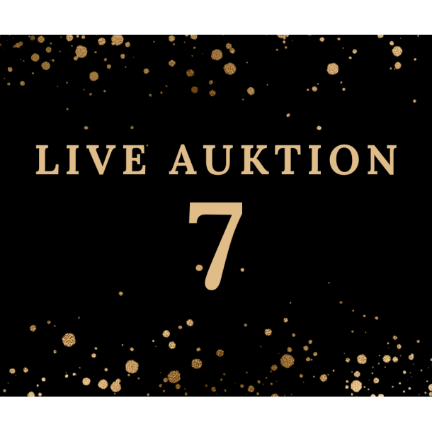 Auktion 7