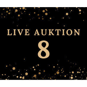 Auktion 8