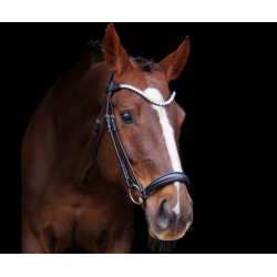 SD L nique dropnose bridle. Black/Black.