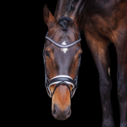 SD Antobello Bridle. Black/White