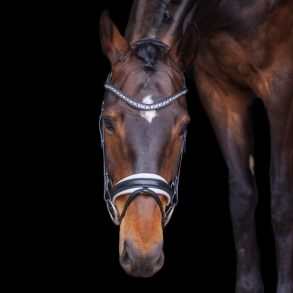 SD Antobello Bridle. Black/White