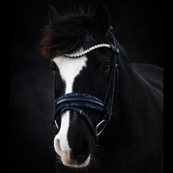 SD� Diamond Bridle Black/Navy  (Defect on logo)