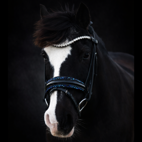 SD� Diamond Bridle Black/Navy  (Defect on logo)